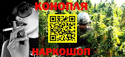 индика Лесосибирск