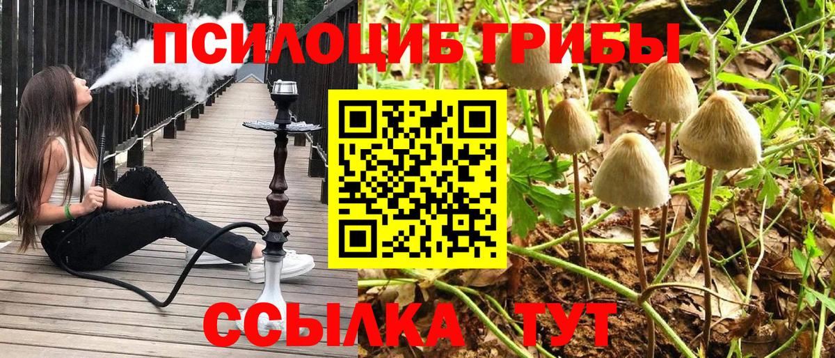 Ивантеевка  Псилоцибиновые грибы Cubensis  Вход с VPN  как найти закладки  Галлюциногенные грибы GOLDEN TEACHER 